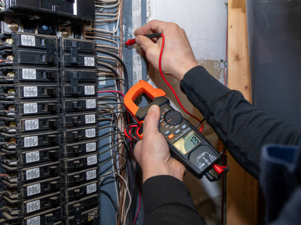 Best Electric Panel Repair  in Superior, WI